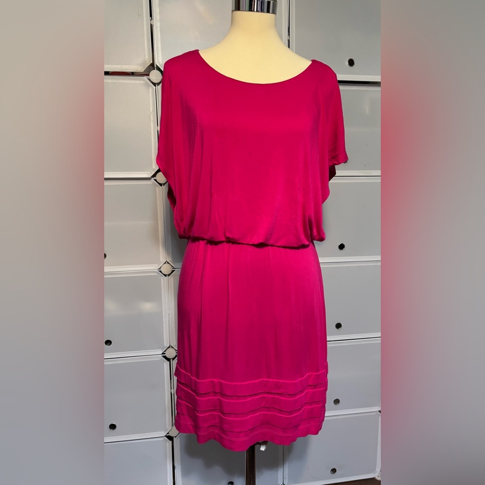 Vibrant Pink Dress